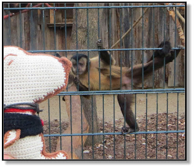 Snoopy im Tierpark