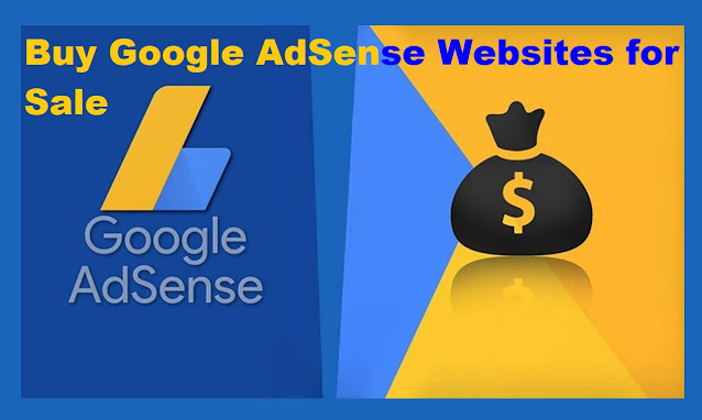 Buy Google AdSense Websites for Sale