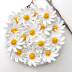Daisy Flowers Crochet Applique