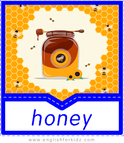 Honey - English food flashcards for ESL students