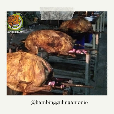 Jasa Kambing Guling Empuk Dago Bandung,Jasa kambing guling,kambing guling dago,kambing guling,Jasa Kambing Guling Empuk Dago,Jasa Kambing Guling Empuk,