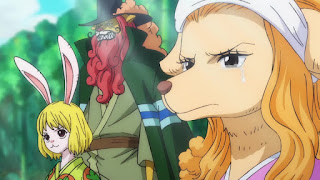 ワンピースアニメ ワノ国編 | ONE PIECE Episode 956