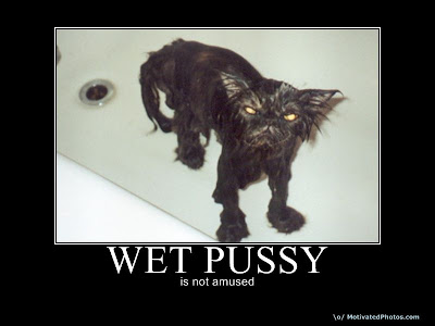 wet pussy posted by The Wizard of'OZ' Tuesday June 09 2009