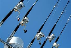 Excellent Fishing Rods for that Perfect Fishing Experience