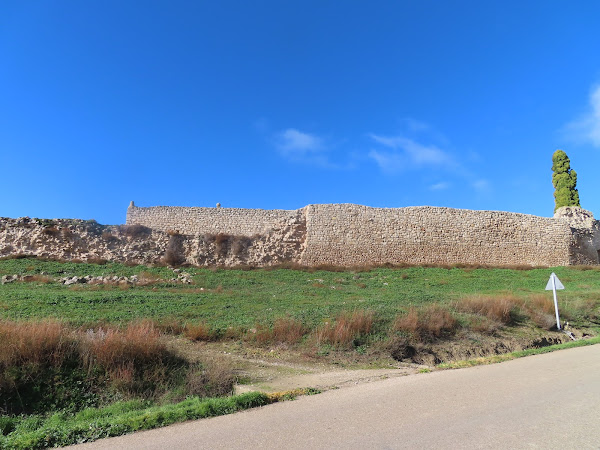 Palenzuela - Castillo