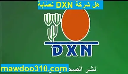 هل شركة DXN نصابة