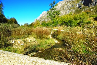 Vista del río que nace en el Lago