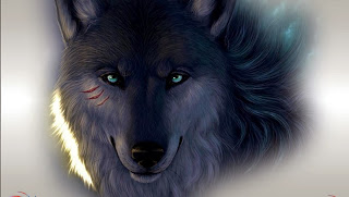 Black Wolf HD images, dark black wolf in winter, 