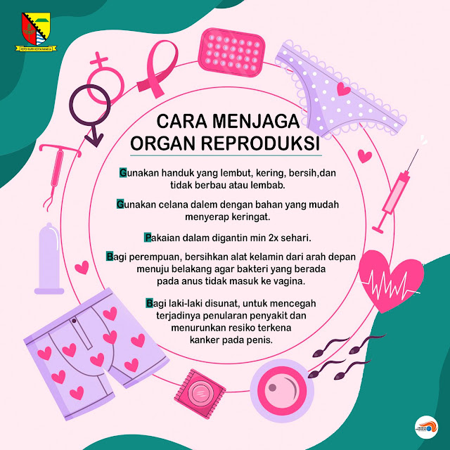 Bagaimana cara merawat dan menjaga kesehatan organ reproduksi?