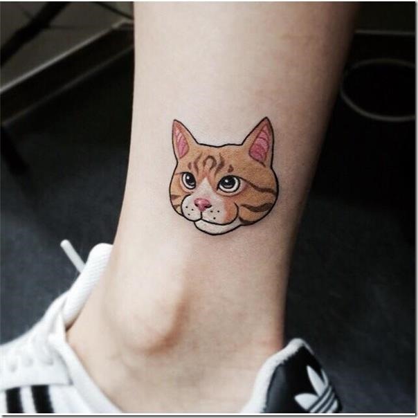 lindo-gatito-en-la-pierna lindo-gatito-en-la-pierna