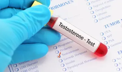 The Top Supplements To Lower Testosterone In Males