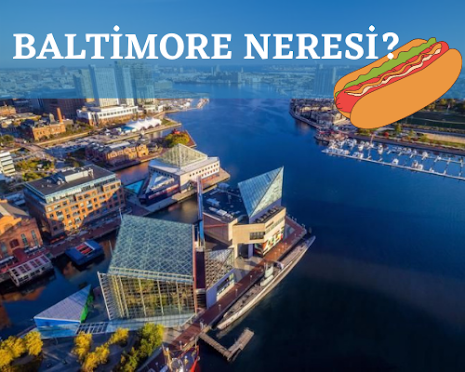 Baltimore ve en iyi hotdog