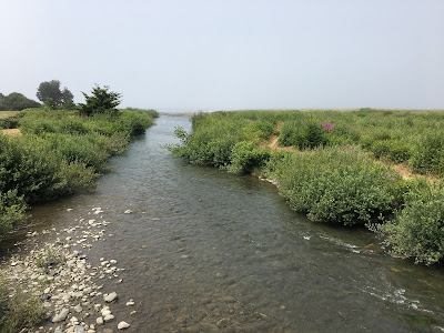 mouth of morse creek