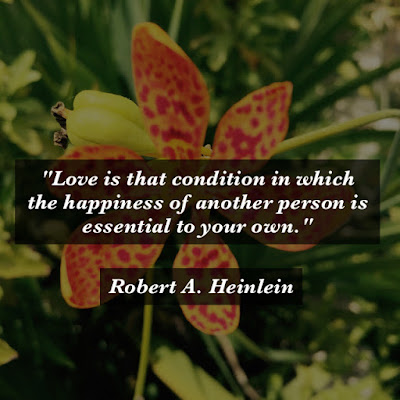 Love is that condition in which the happiness of another person is essential to your own. - Robert A. Heinlein