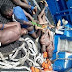  Photo of 5 Sea Pirates Arrested By Nigerian Navy