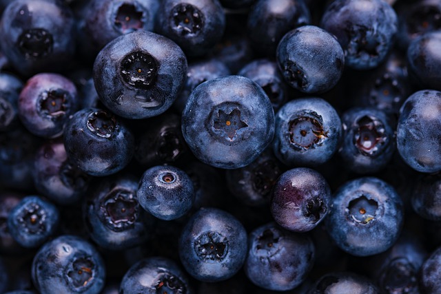 gambar buah blueberry