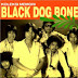 Black Dog Bone - Ku Cari Penawar Duka