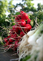 Radishes from a Farmers' Market