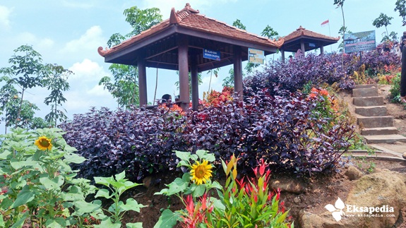 Ini Dia Kebun Bunga Sri Gunung Kabupaten Batang Yang Sedang Naik Daun
