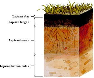 Mengenal Struktur dan Kerak Bumi