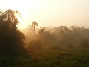 Amanecer en Petite SavaneParque de la Lobeke