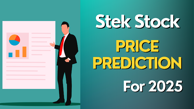 Stek Stock Price Prediction for 2025