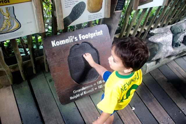 Lucas brincando com a pegada do elefante