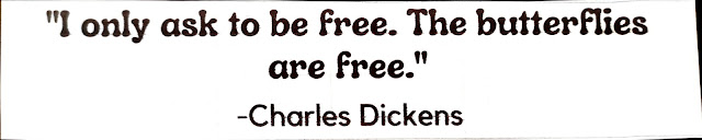"I only ask to be free. The butterflies are free." -Charles Dickens