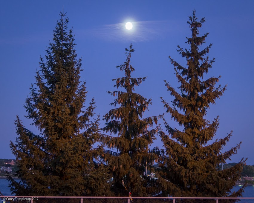 Three evergreens and the moon, at the Portland side of the Casco Bay Bridge tonight.
