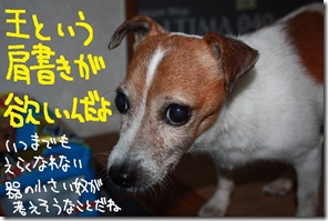 今日カズ１００９２２　２