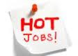 Hot Jobs, Nhân viên tổ chức sự kiện, Event