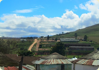 Road leading up to Appelsbosch
