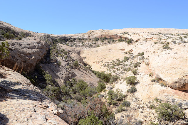 high sidewalk of rock