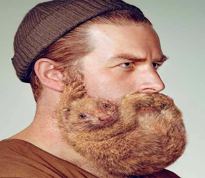 beards shape