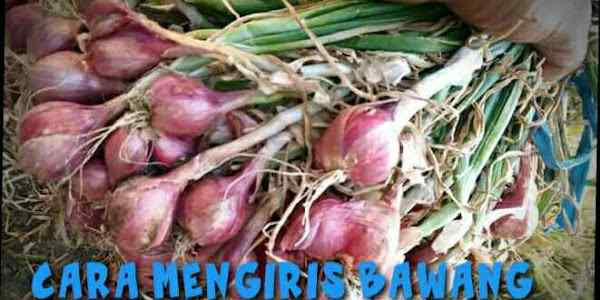 Cara Mengiris Bawang Merah Agar tidak Menangis