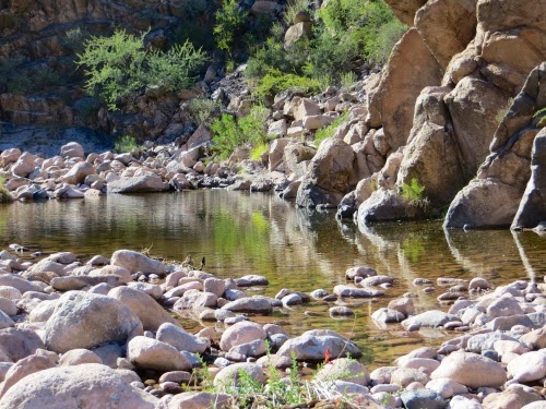 Hike2ndwater-Boulder-DutchmansTrails-26-2013-11-26-19-36.jpg