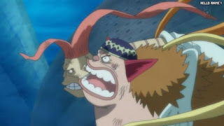 ワンピースアニメ 魚人島編 561話 マンボシ | ONE PIECE Episode 561