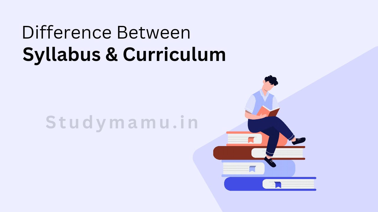 Difference between syllabus and curriculum