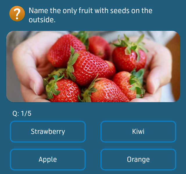 Name the only fruit with seeds on the outside