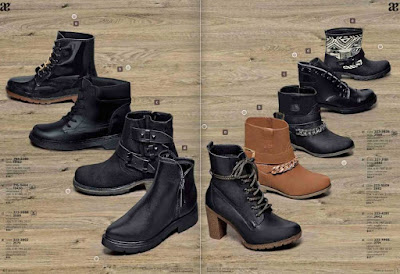 Botas  y botines Andrea 2016 : calzado de moda 