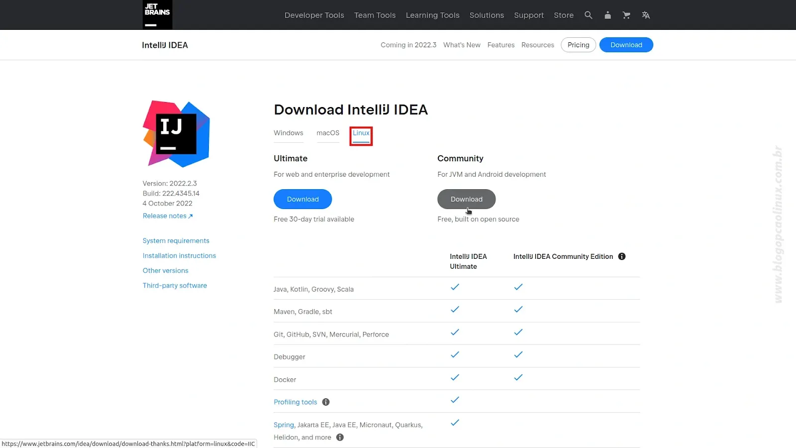 Página de download do IntelliJ IDEA em novembro de 2022