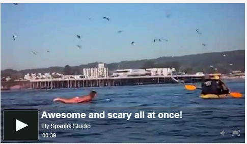 Awesome and scary all at once!