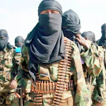 Bandits kill 8 for Atak'Njei, Kaduna State