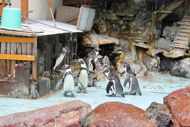 桂濱水族館