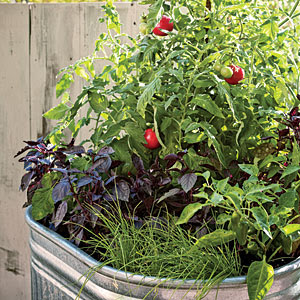 Two Men and a Little Farm: GALVANIZED WATER TANK / TROUGH ...