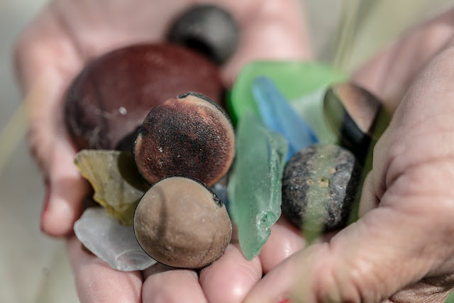 collecting sea beans in cocoa beach