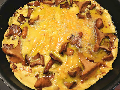 omelette aux girolles