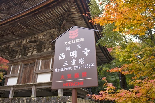 20131117-_MG_1373