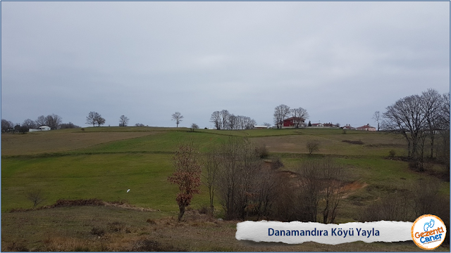 Danamandıra-Koyu-Yayla