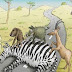 Funny Animals Zebra Crossing